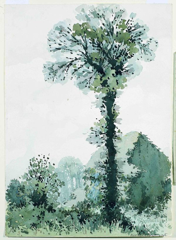 Landscape with tall tree and haystack by William Heath Robinson